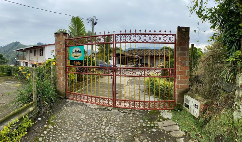 Natural landscape, Garden view, Parking