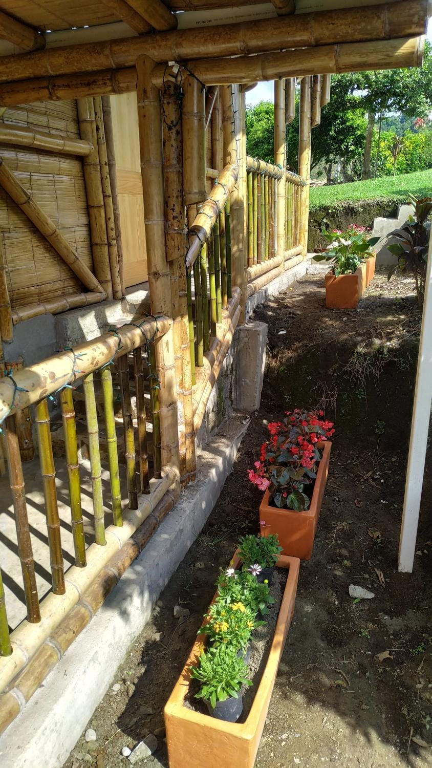 Garden view