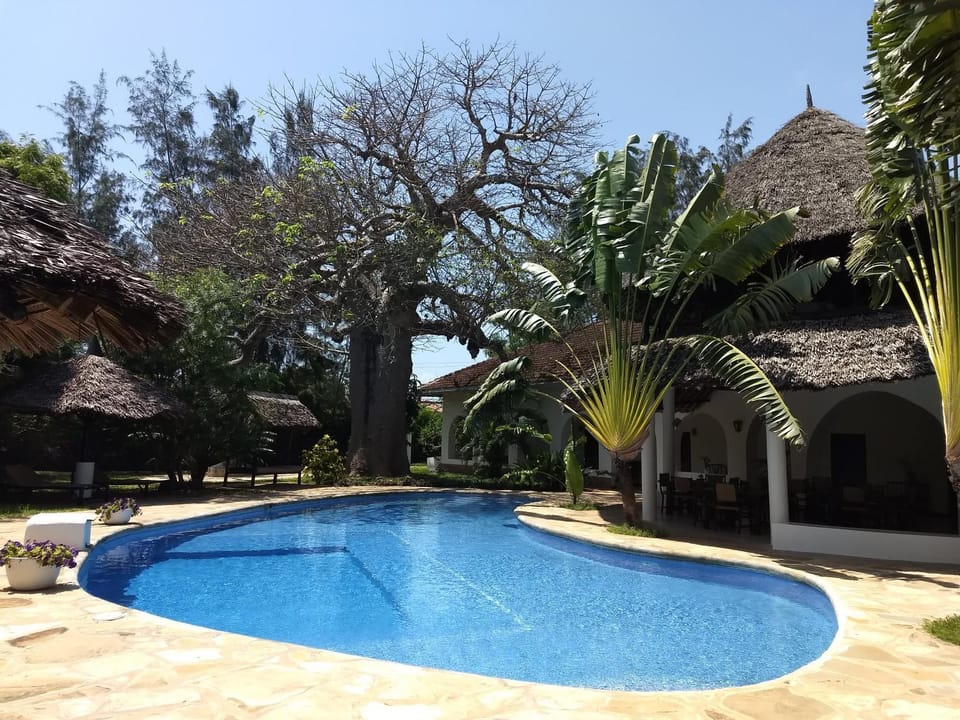 Garden, Garden view, Pool view, Swimming pool