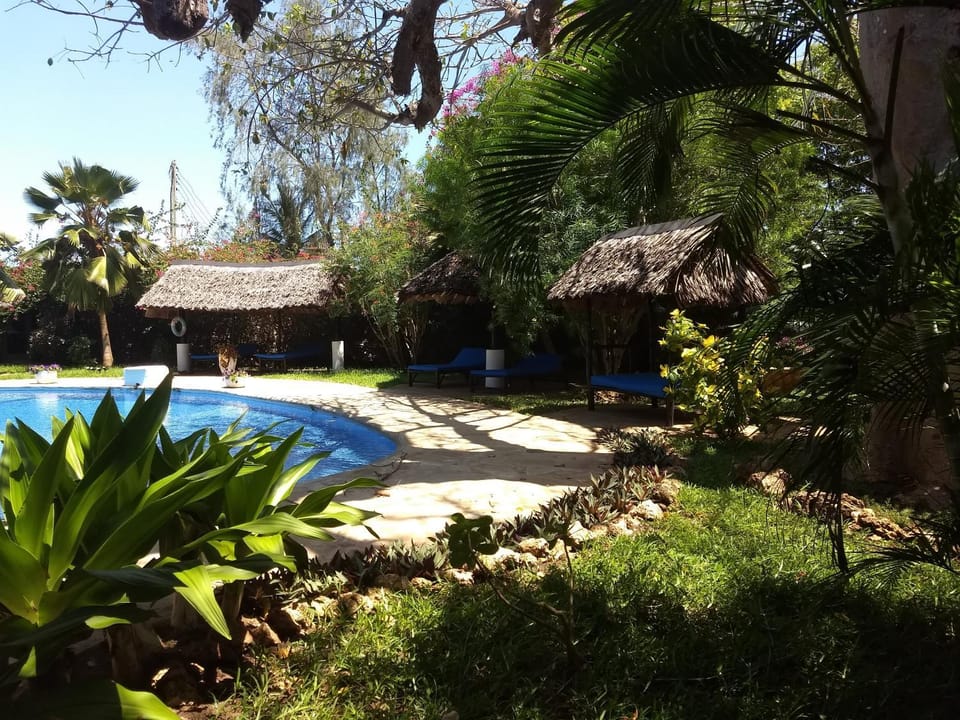 Garden, Garden view, Pool view, Swimming pool, sunbed