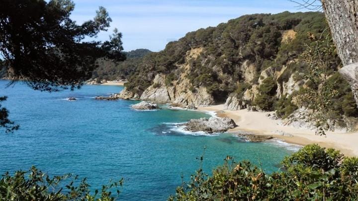 Natural landscape
