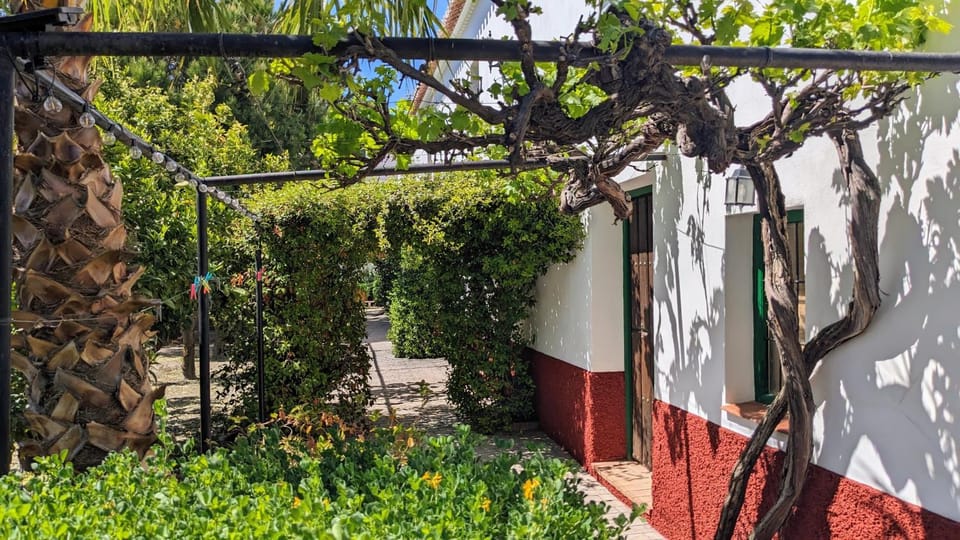 Property building, Spring, Day, Garden, Garden view