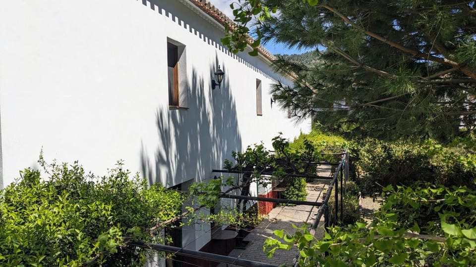 Property building, Spring, Day, Garden, Garden view