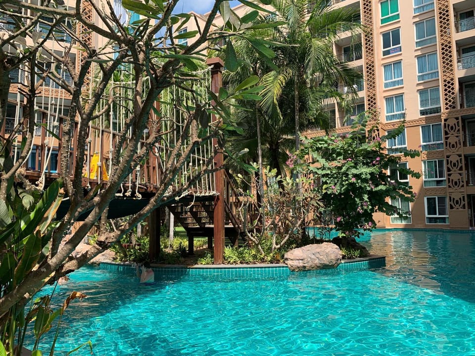 Day, Pool view, Swimming pool