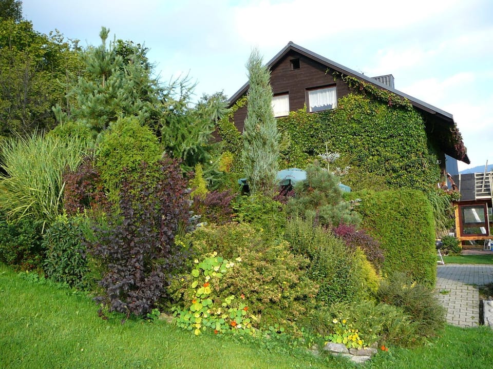 Spring, Summer, Garden, Garden