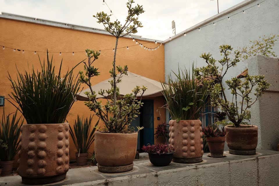 Patio, Inner courtyard view