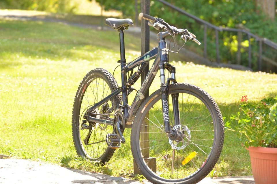 Day, Garden, Cycling, Sports