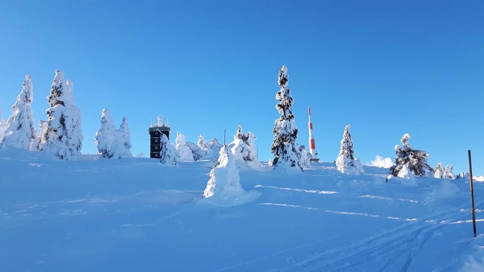 Day, Winter, Skiing
