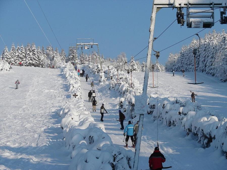 Day, People, Winter, Skiing, Sports, group of guests