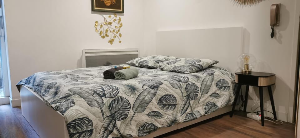Green Cellar studio Centre de Strasbourg - 5 min conseil de l'Europe Apartment in Strasbourg