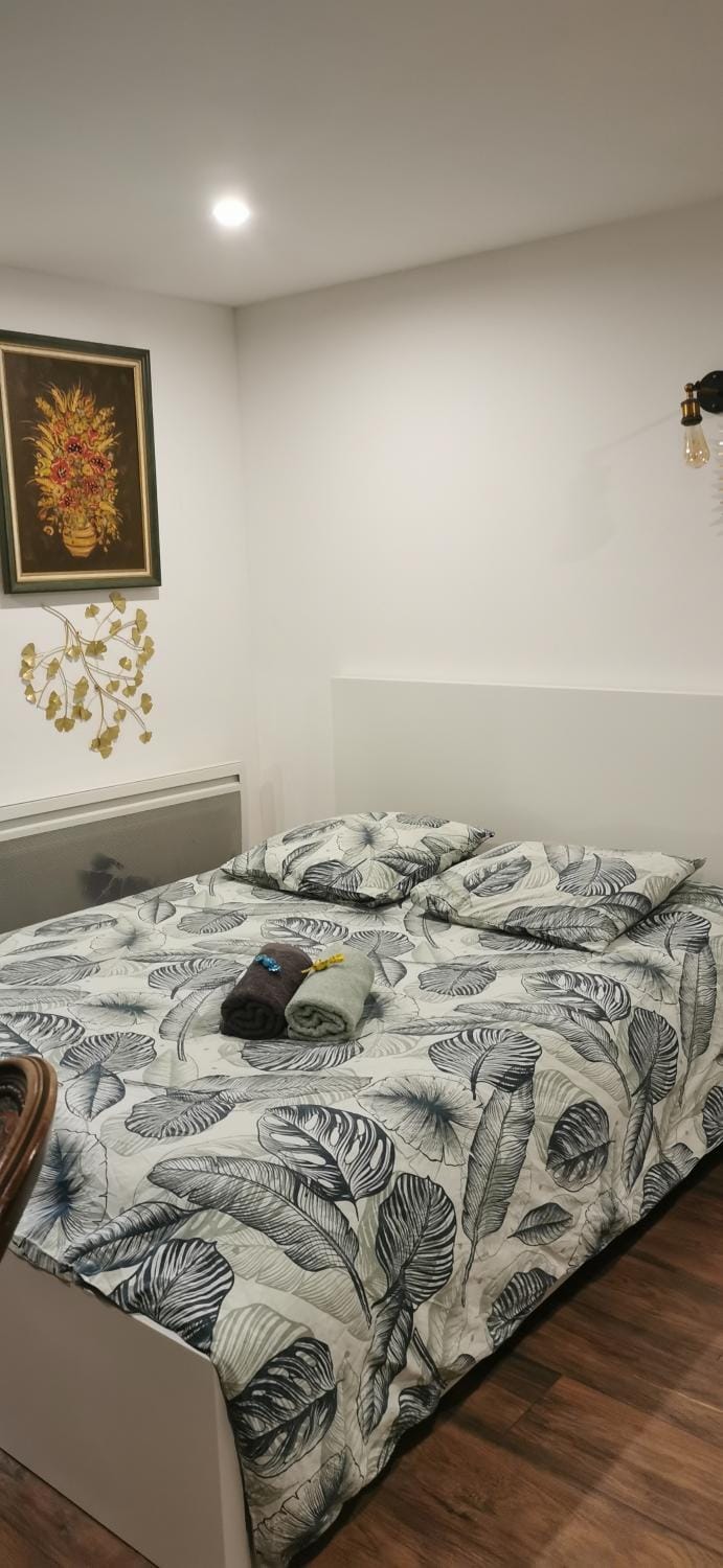 Green Cellar studio Centre de Strasbourg - 5 min conseil de l'Europe Apartment in Strasbourg