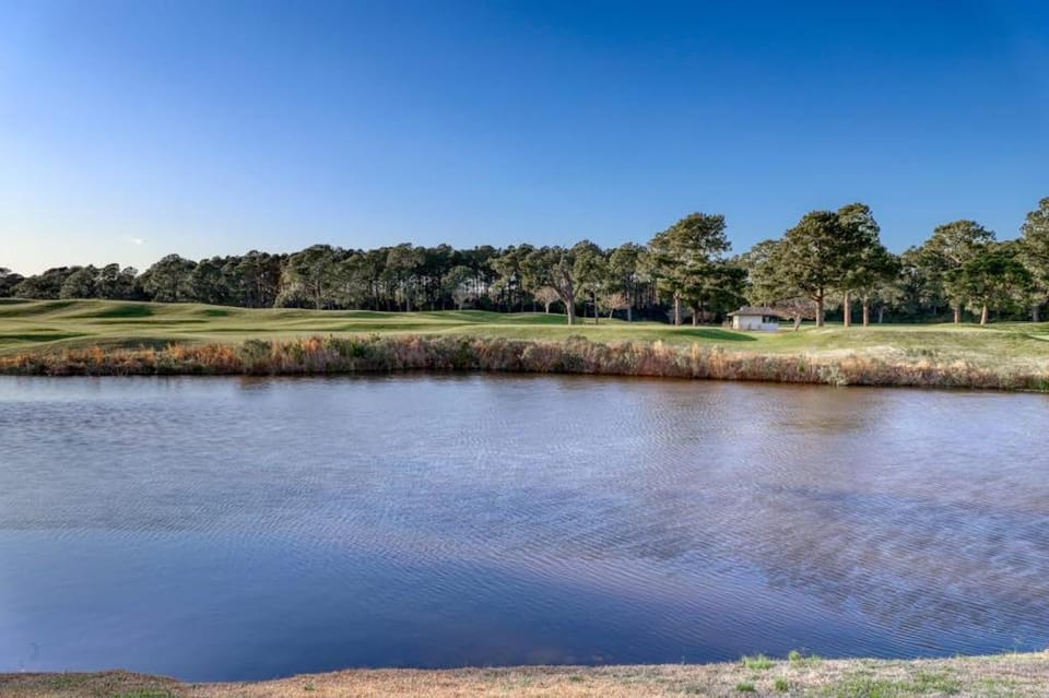 Dahlia & Magnolia Court Apartment in Myrtle Beach
