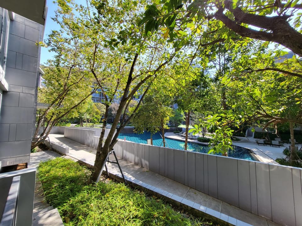Garden, Swimming pool