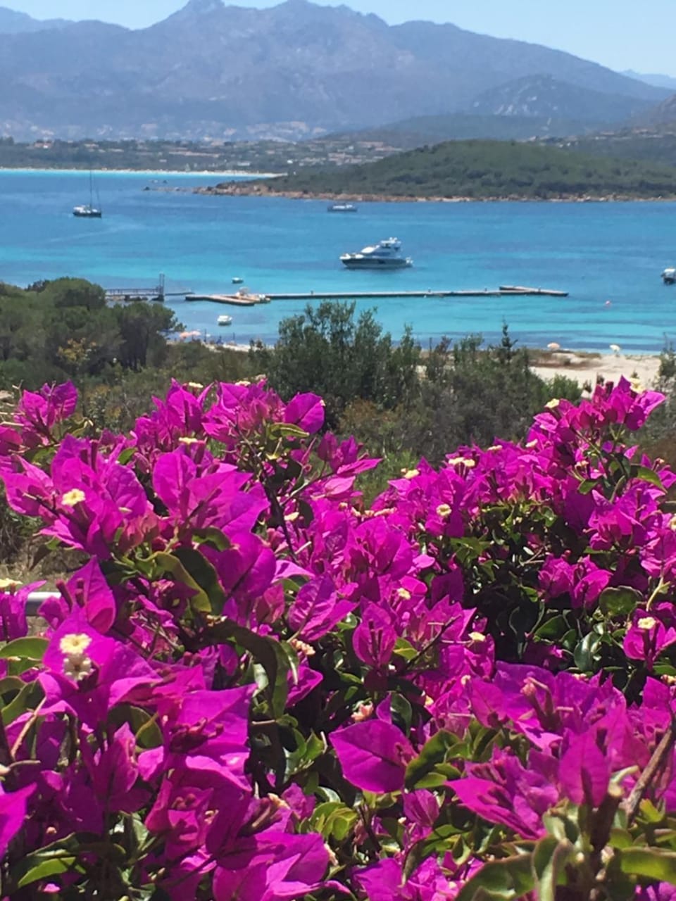 Villa Carlotta Villa in Sardinia