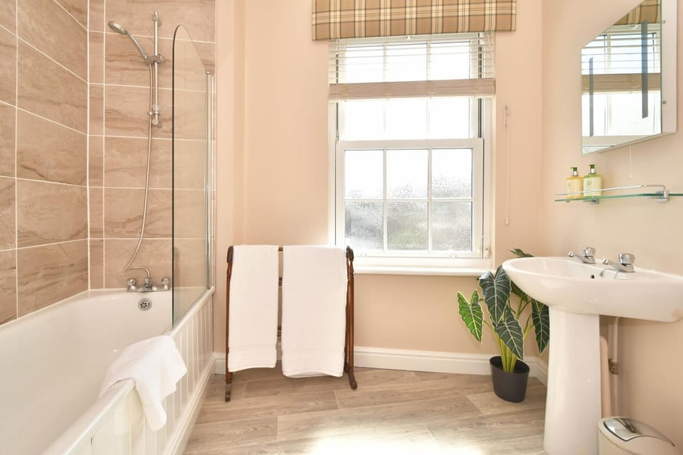 Shower, Bathroom, Photo of the whole room, Decorative detail, Bath, towels