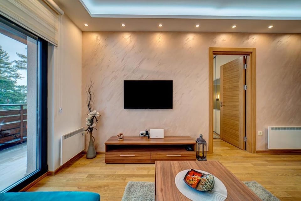 TV and multimedia
