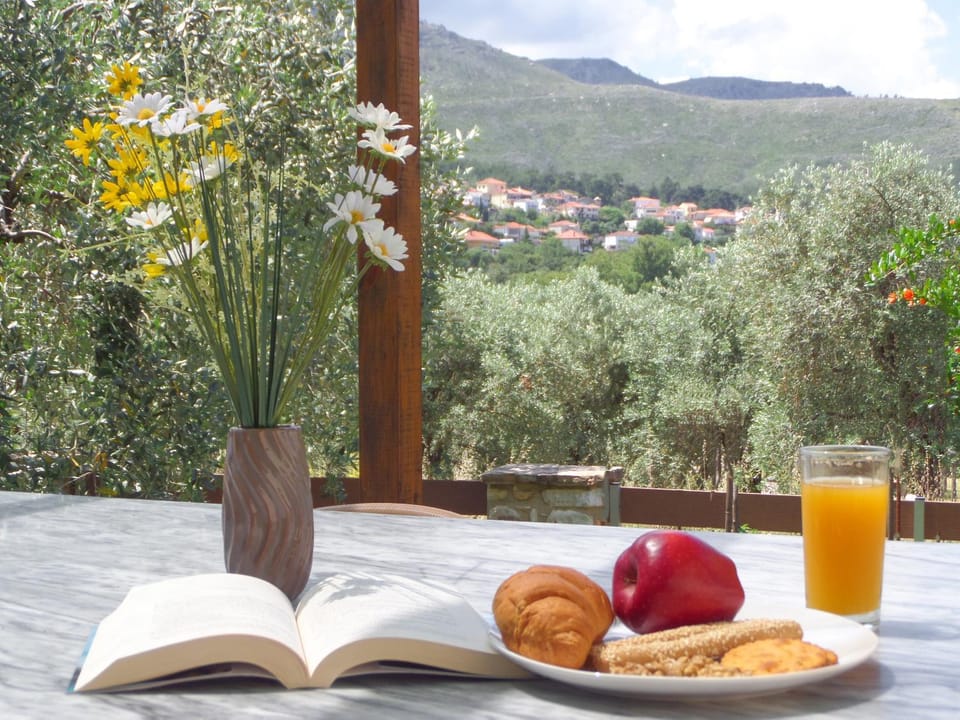 Balcony/Terrace, Garden view, Mountain view