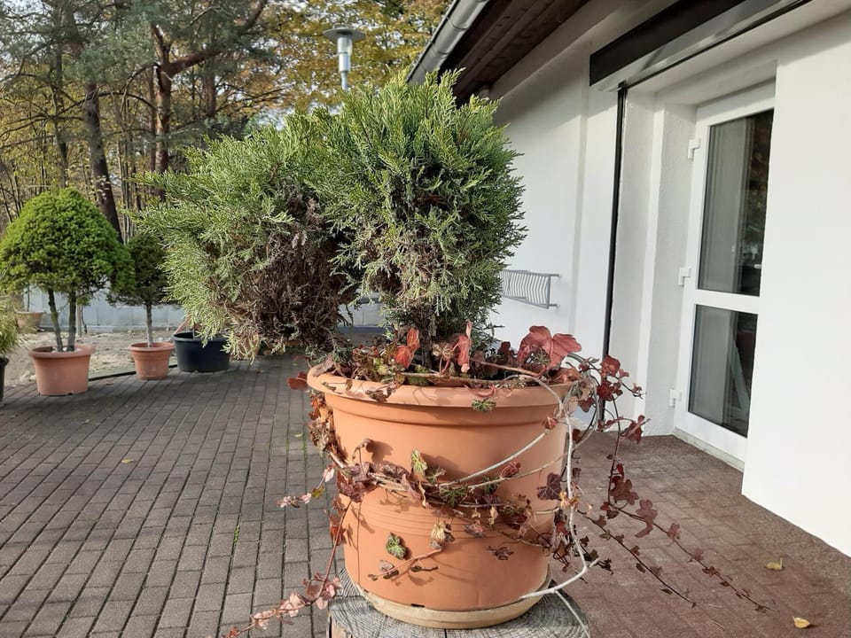 Landlust! Bed and Breakfast in Saxony