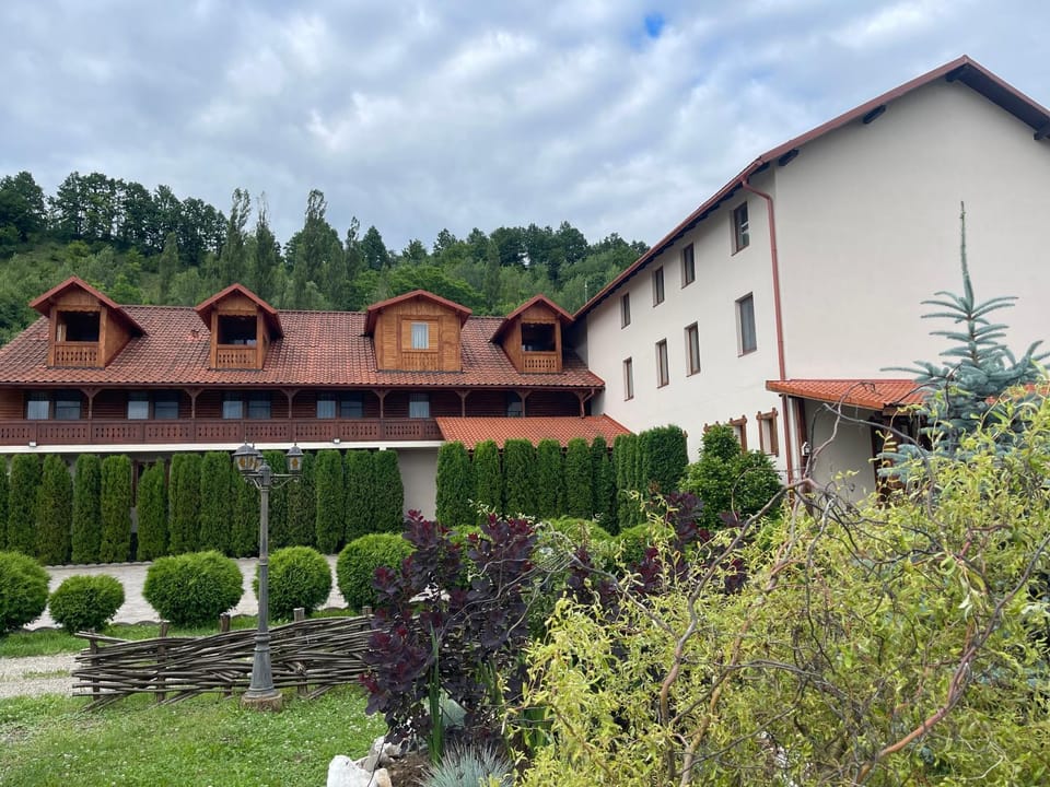 Pensiunea Cosău Bed and Breakfast in Romania