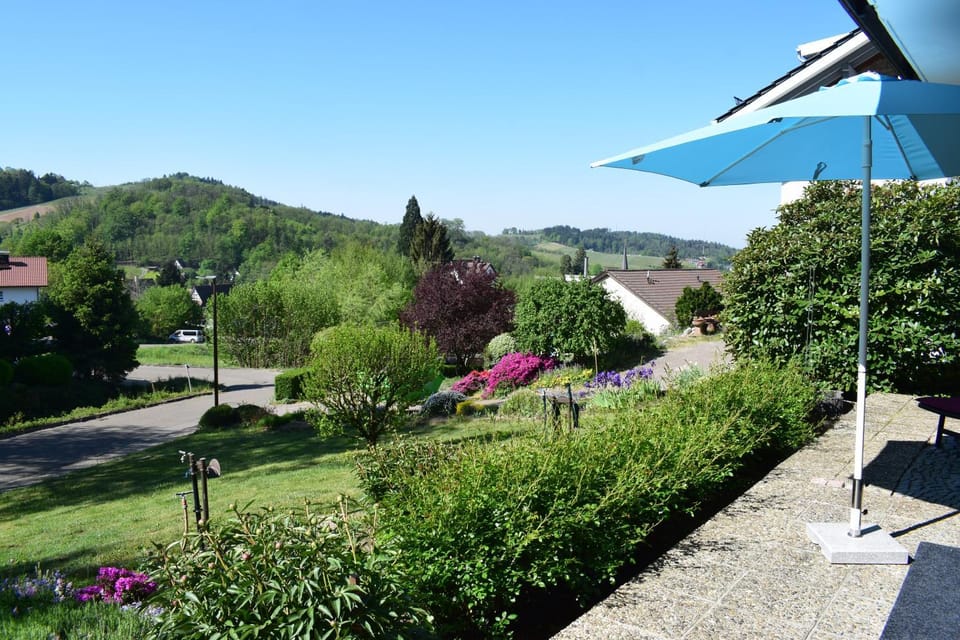 Neighbourhood, Natural landscape, Garden, Garden view