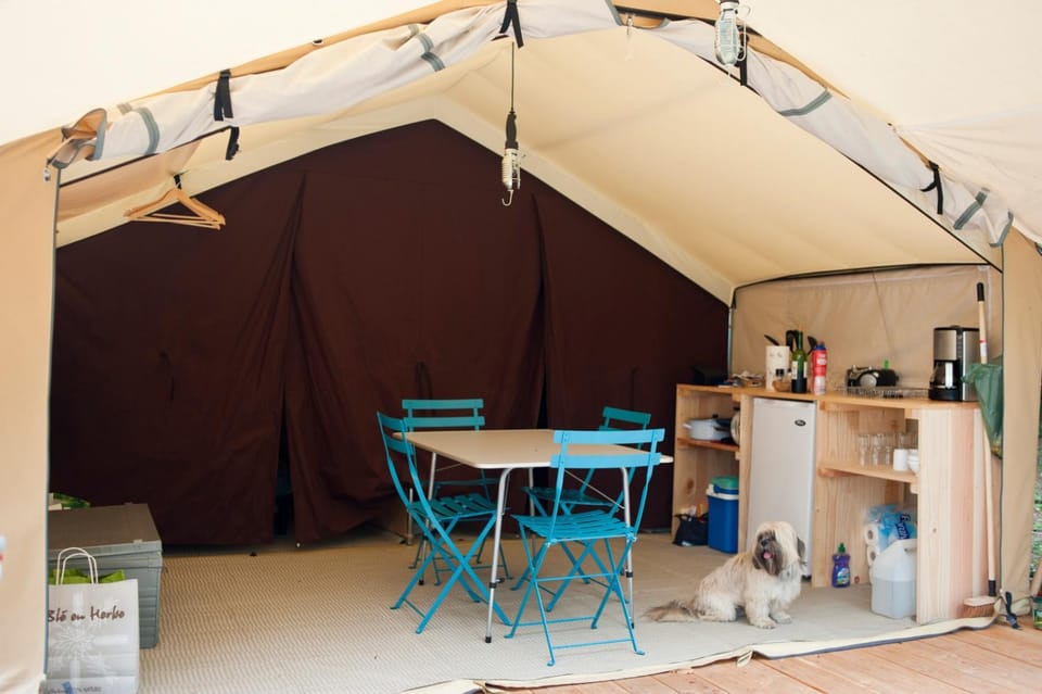 Coffee/tea facilities, Kitchen or kitchenette, Dining area, Pets