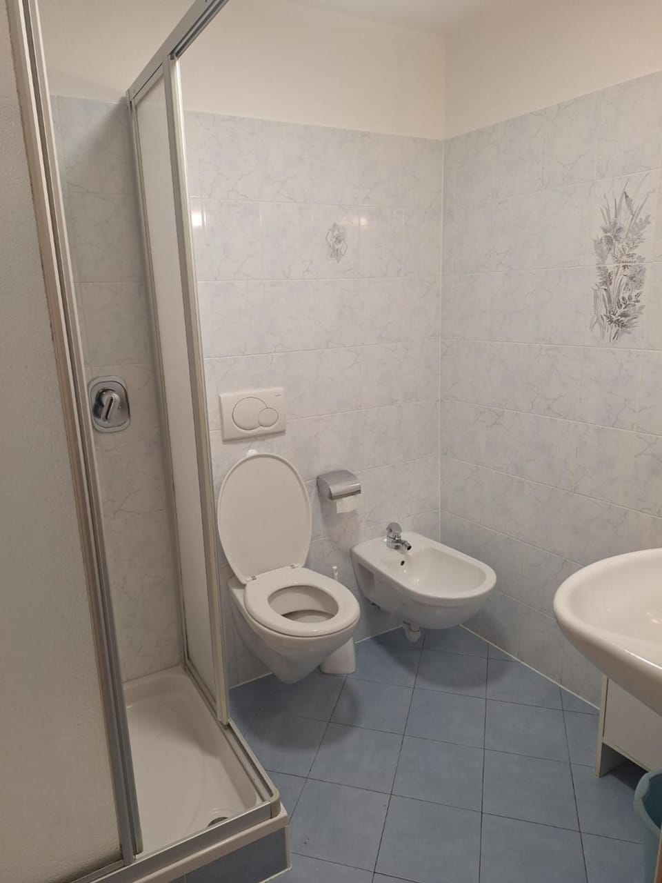 Shower, Toilet, Bathroom, bidet