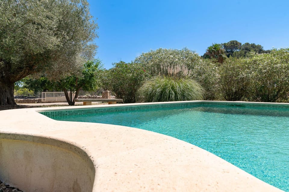 Day, Garden, Garden view, Pool view, Swimming pool