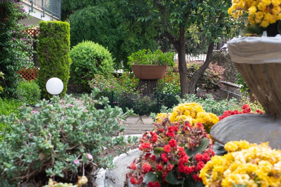 Garden view