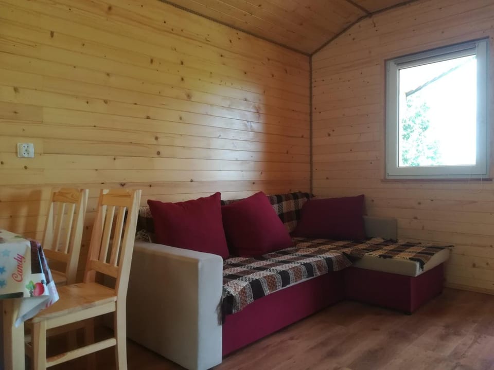 Bed, Living room, Photo of the whole room, Seating area
