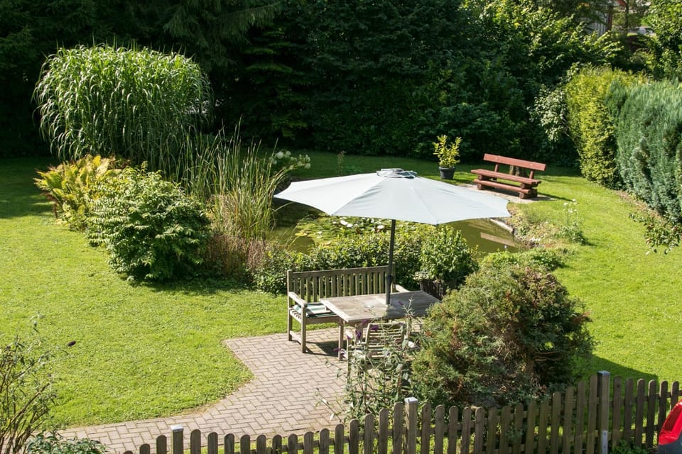 Garden view