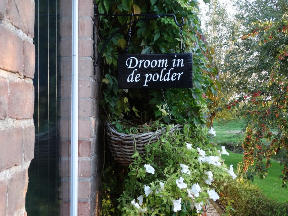 Neighbourhood, Garden