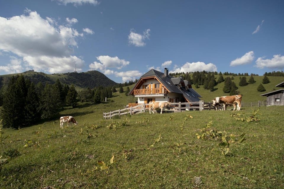 Natural landscape