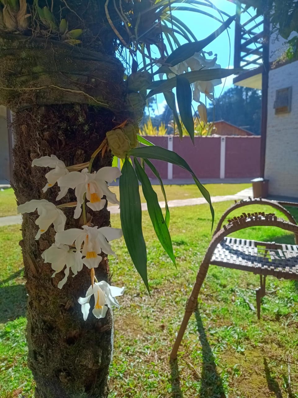 Chalé das Orquídeas Chalet in Sao Jose dos Campos