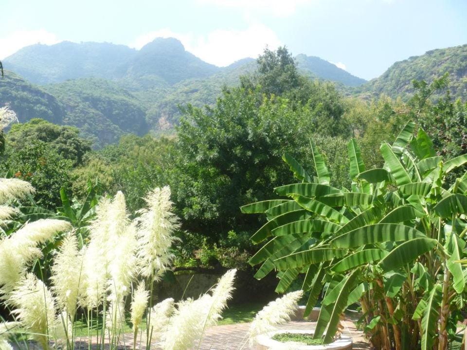 Day, Natural landscape