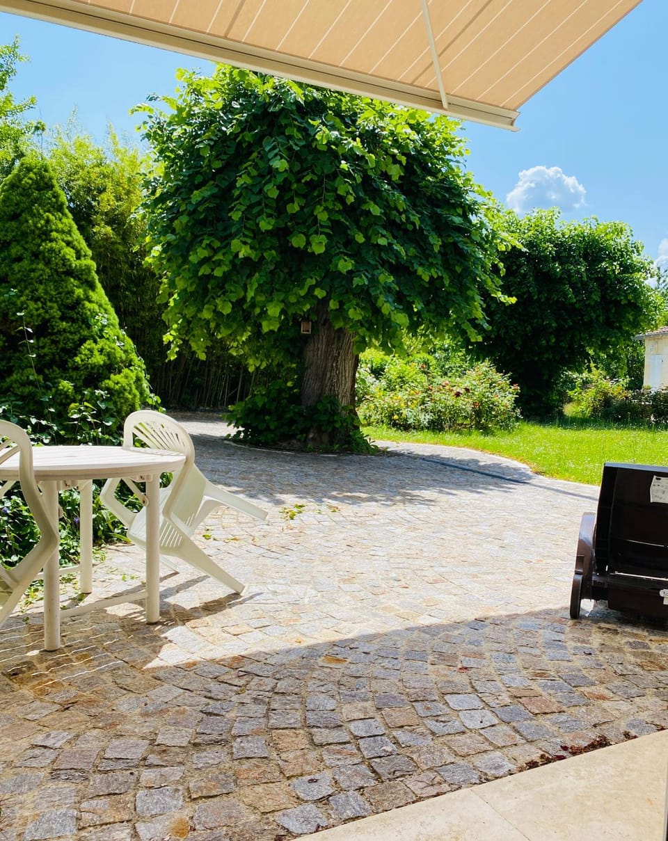 Patio, Spring, Day, Garden, Garden view