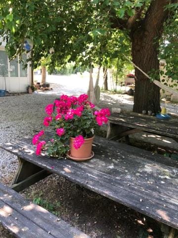 Agriresidence San Pietro Apartment in Bibione