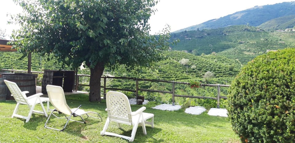 Patio, Garden, Mountain view
