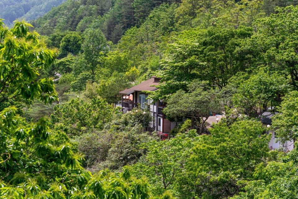 Property building, Natural landscape