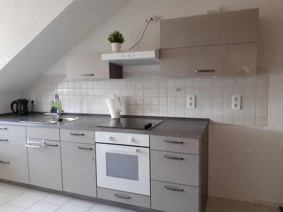 Kitchen or kitchenette, kitchen