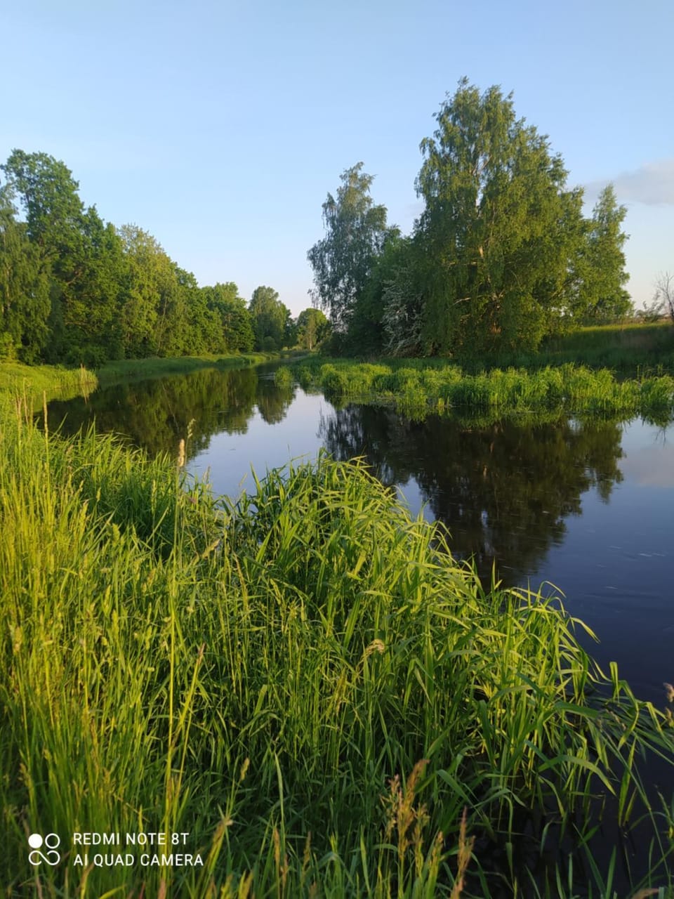 Natural landscape, River view