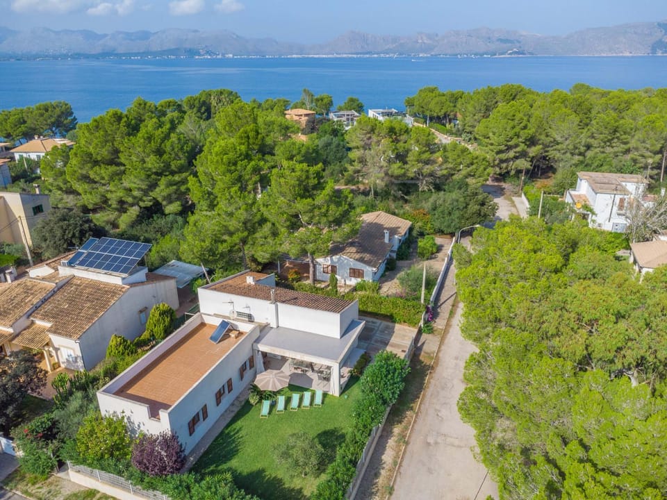 Property building, Bird's eye view