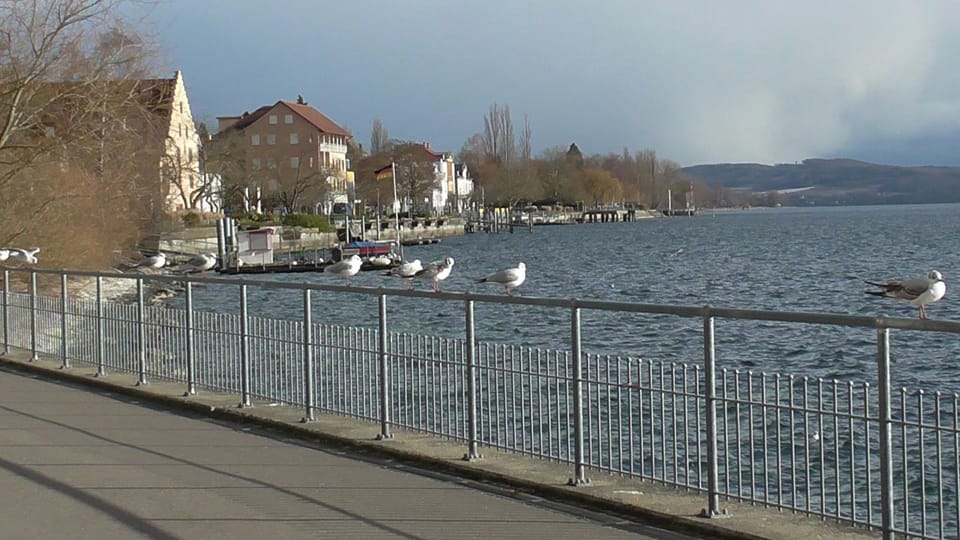 Lake view