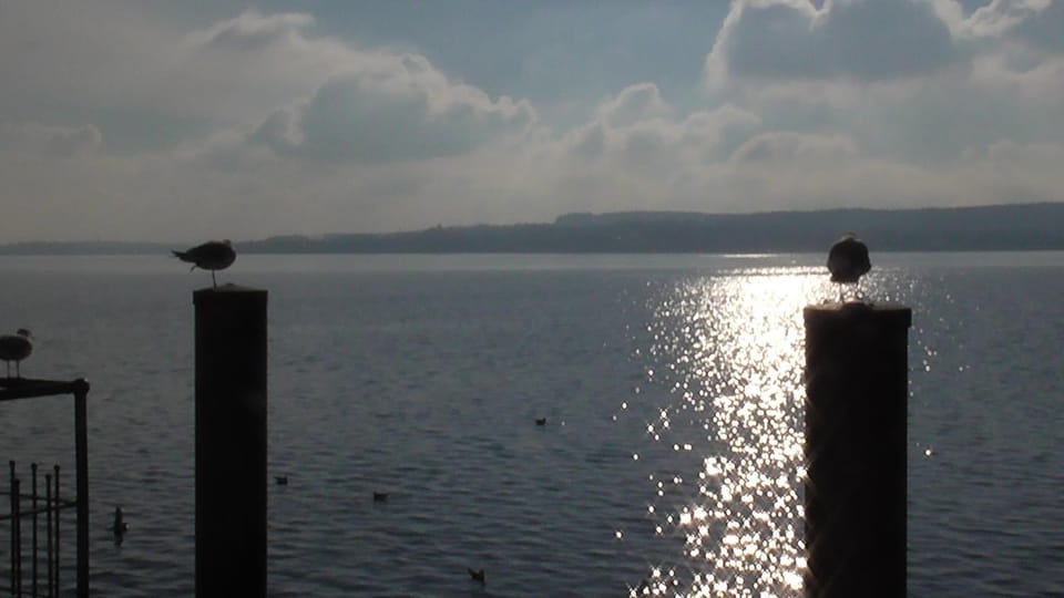 Natural landscape