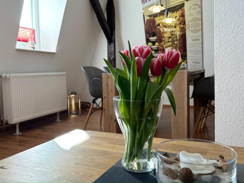 Ferienwohnung Süd Apartment in Ostholstein