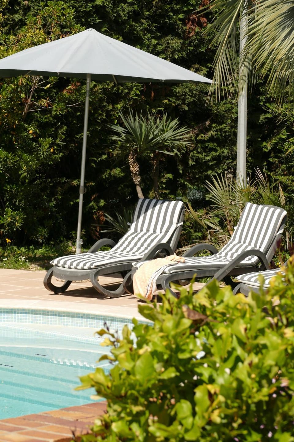 Pool view, sunbed