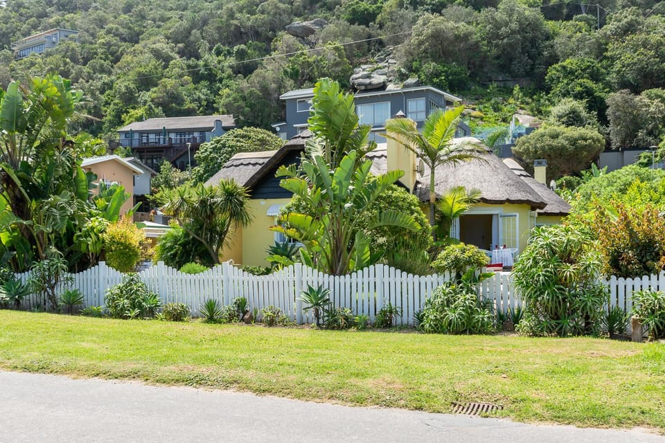 Neighbourhood, Garden, Garden view