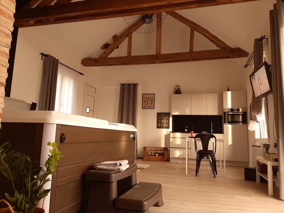 Eaudyssée maison avec SPA privée - Loiret House in Centre-Val de Loire