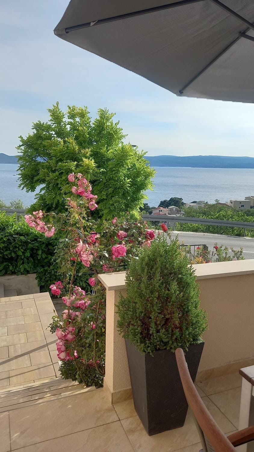 Apartment Dandelion Apartment in Brela