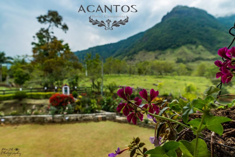 Natural landscape, Garden view