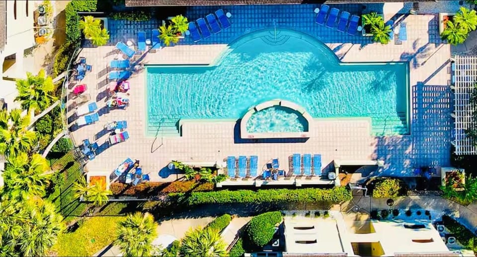 Bird's eye view, Pool view, Swimming pool, Swimming pool, sunbed